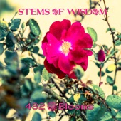 Stems of Wisdom - 432 Blooms