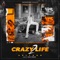 Crazy Life 2 artwork