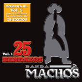 25 Bandazos de Machos, Vol. 1 - Banda Machos