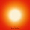 Eternal Sunshine - Single