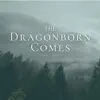 The Dragonborn Comes (Cover Song) - Single album lyrics, reviews, download