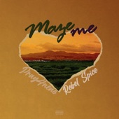 Maze Me artwork