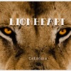 Lionheart - Single