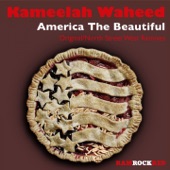 America the Beautiful (North Street West Dub) artwork