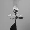 Wish I Was Better - Single album lyrics, reviews, download