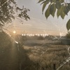 Muntjac - Return to Eden