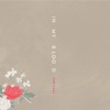 In My Blood by Shawn Mendes iTunes Track 5