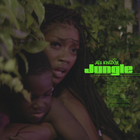 Cover artwork for Jungle