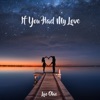 If You Had My Love - Single