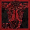 Oblige - Single