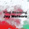 2 Kingss - King Beaming & Jay Meteoro letra