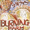 Burning Farm