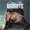 Como No Adorarte (feat. Emsy) - Single