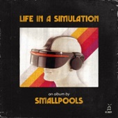 LIFE IN A SIMULATION artwork