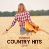 Wild Country Instrumentals - Summer Country Hits