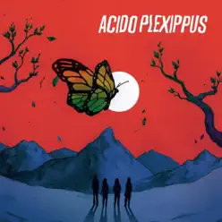 Acido Plexippus - Ácido Plexippus