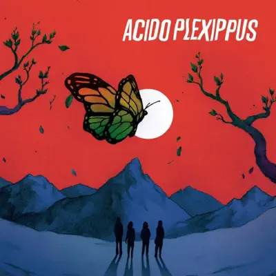 Acido Plexippus - Ácido Plexippus