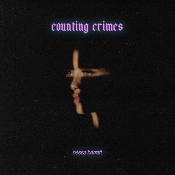 Cover artwork for counting crimes