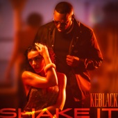 Shake It artwork