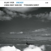 Vijay Iyer - Combat Breathing