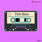 Tere Bina (Lofi Flip) artwork