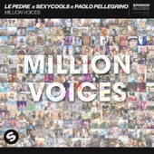 Million Voices artwork