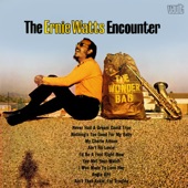 The Ernie Watts Encounter - I Was Made to Love Her