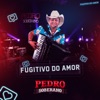 Fugitivo do Amor - Single