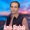 Sta La Ghezhi Pashtonkhowa - Amin Shabab lyrics