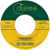 The Soul Chance - Goodbye