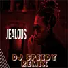 Jealous (Remix) - Single album lyrics, reviews, download