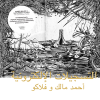 Ahmed Malek & Natureboy Flako - The Electronic Tapes (Habibi Funk 005) artwork