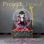 Project Jara-J - Únos