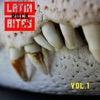 Locos by León Larregui iTunes Track 4