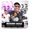 Modimo Waka (feat. DJ Ino) - DJ Zola & Dj Spirit lyrics