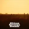 African Savanna Sounds album lyrics, reviews, download