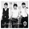 Jonas Brothers, 2007