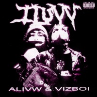 Alivw, Vizboi Ablum Cover