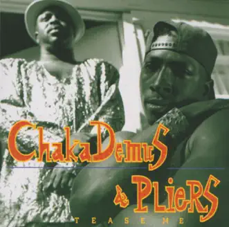 She Don't Let Nobody by Chaka Demus & Pliers song reviws