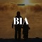 Bia - Odbrown lyrics