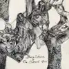 Becca Stevens & The Secret Trio album lyrics, reviews, download