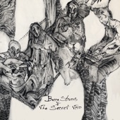 Becca Stevens & The Secret Trio artwork