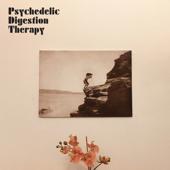 Daytrippin' - Psychedelic Digestion Therapy