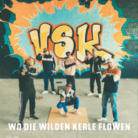 VSK - Wo die wilden Kerle flowen artwork