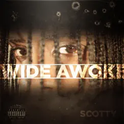 Wide Awoke - Single by Scotty album reviews, ratings, credits