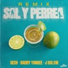 Sal y Perrea (Remix) - Single