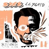 SYBS - Llygaid