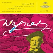 Wagner: Orchestral Works artwork