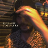 Tot passa artwork