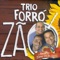 Cartinha Prá Seu Luiz - Trio Forrozão lyrics